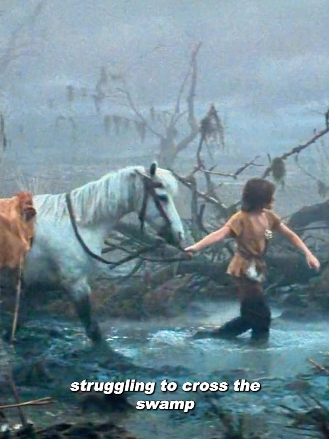 The boy was carried to the mountain by the white dragon，Not only was he not eaten，but he was also given a magic elixir!#TheNeverEndingstory #DieunendlicheGeschichte #fantasy #risk #comdy #filmclips #foryouage #comedyvideo #fyp #usa #us #classic #tiktok #ustiktok #foryour #movie