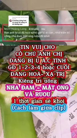 Trả lời @Cao Hồng Mẹ Bỉm MÌNH KIÊNG TRÌ UỐNG NHA ĐAM MẬT ONG 1 THỜI GIAN TẾ BÀO AC TÍNH SẼ BỊ ĐẨY LÙI NHE. #baithuochay #saytran84 #baithuocdangian #daunhucxuongkhop 
