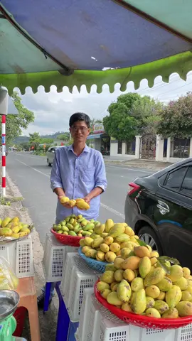 Trái cây Xoài Múc vùng Bảy Núi ngon lắm ạk #angiang67 #xuhuong #xuhuong2025 #xuhuongtiktok2025❤️🌈✔️ #trend 