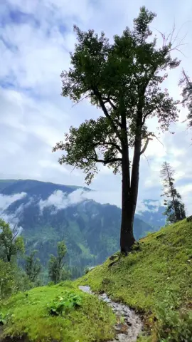 کریم آباد نیلم ویلی آزاد کشمیر 🌧️🌸🌲🏡 #foryourpage #kashmirbeauty #نیلم_ویلی_جنت_ویلی #viralvideo #1millionviews @Ranabashir.official @Khąteeb MuGhąl 