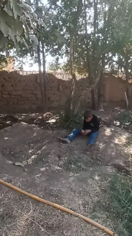 #لايكات 
