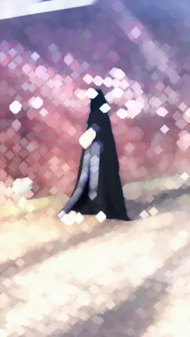 Borka from @Abaya Zone Mim’s outfit 