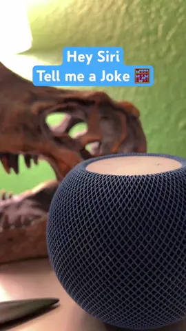Hey Siri, Tell me a Joke 🧮