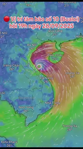 🙏🙏🙏#windy #zoomearth #bão #sieubao 