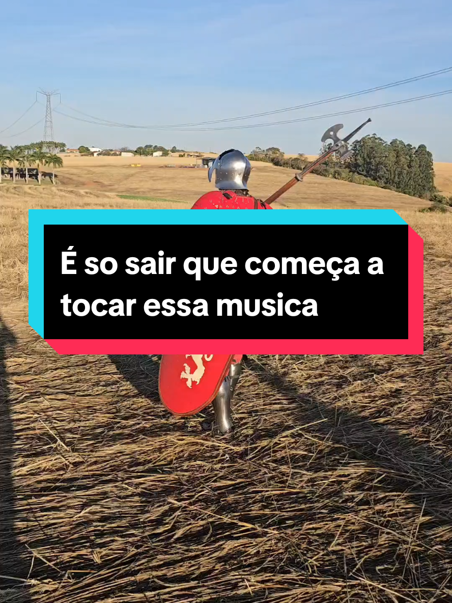 voce é BR e mora no interior #armadura #medievaltiktok #armour #curiosidades #medieval 