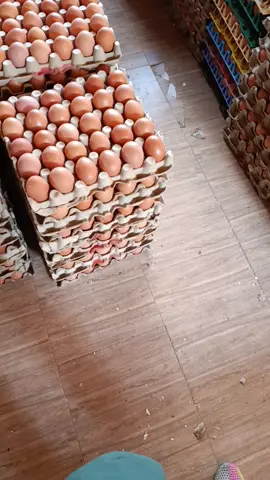 #eggs #ngaraeggsdepot #wholesalers #nairobitiktokers #kenyantiktok🇰🇪 