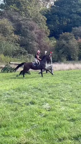 Fantasia was unreal at xc today 🥹