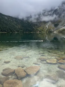 18 км заради цієї краси 😍 #врекомендації #zakopane #morskieoko 