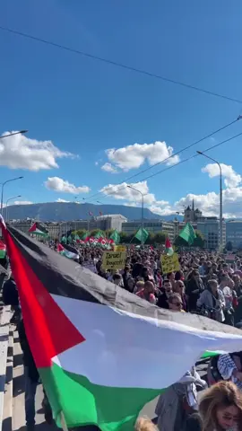 10’000 people in the streets of Geneva, Switerland for Gaza #protest #gaza #palestine #palestine🇵🇸 