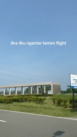ldr malay huhuhu, rawrrr (harimau malaya) #bandarakulonprogo #ldr #jogja #bandara #fyp 