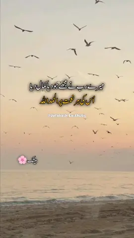 Heart touching vibe 🌸🫶  #shortfeed #like #unfreezemyacount #comedy #1millonaudition #islamic_video #jafakash_easthetic #writes #quotes #unfrezzmyaccount #viwesproblem 