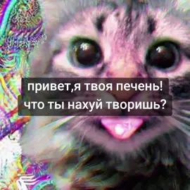 #алкоголь #таблетк #щп #выход привет я ттвоя печень