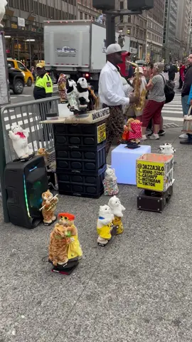 #cats #newyorkcity