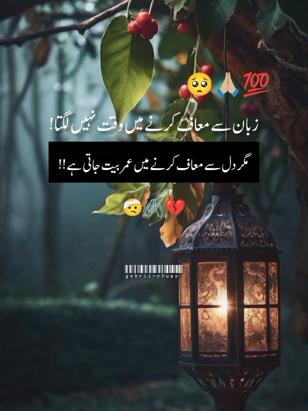 #viewproblem💔🥺🙏🙏 #deeplines #urdupoetry #saidpoetry💔😭💔 #gehrii_chupp8 