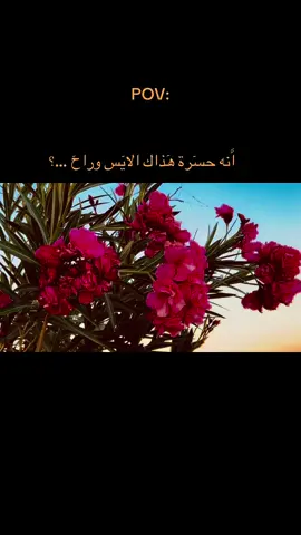 انه حسرة هذاك الايس وراح …#عباراتكم_الفخمه📿📌 #عباراتكم_الفخمه🦋🖤🖇 #عبارات_جميلة_وقويه😉🖤 #اخر_عباره_نسختها🥺💔🥀 #تصويري_احترافي_الاجواء👌🏻🕊😴 