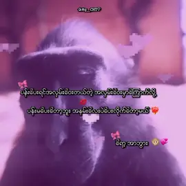 #အာဘွားလေးပဲ..ယူလိုက်”🙊💋 . . . . #mg_cmt #foryou #mgchit2007 #lyrics💐 