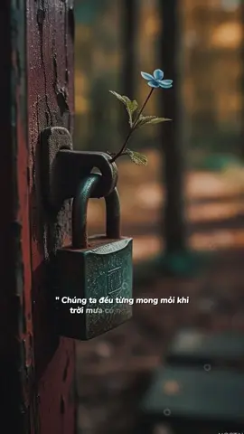 Chúng ta đều từng mong mỏi khi trời mưa có người che dù…!#CapCut #postcard #fyp #xh #tamtrang 