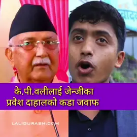 लौं कडा राजनितिक दोहोरी चल्न थाल्यो। हेरेर टाइम पास चाहि हुने नै भयो#fyp #foryoupage #genz #prabeshdahal #kpoli 