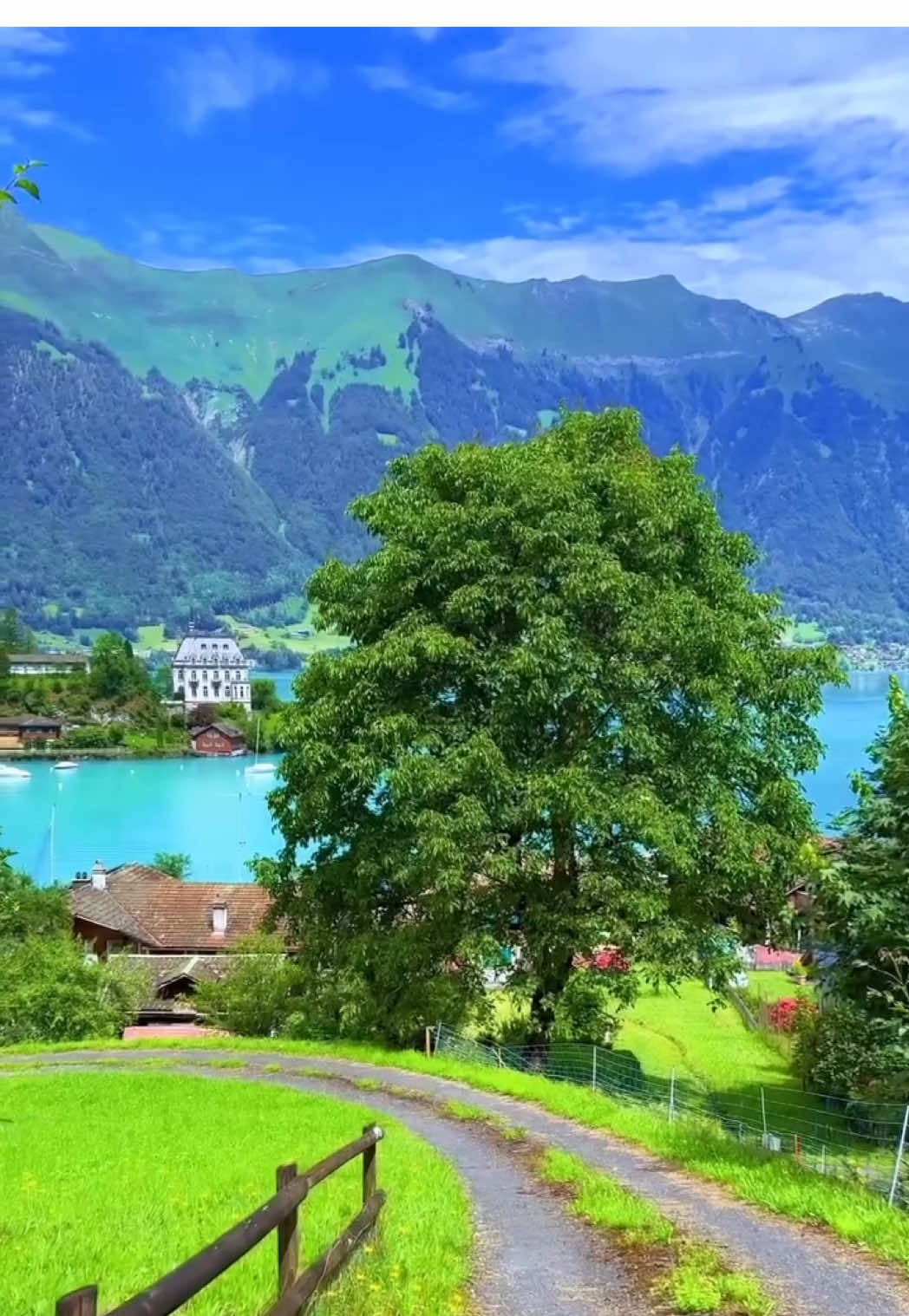 Beautiful summer in Switzerland! 😱🇨🇭 What’s your absolute favorite spot in Switzerland? Whether it’s a hidden lake, a charming village, or a breathtaking mountain – drop your secret spots and best memories in the comments! 💬 I can’t wait to discover your favorite places!  🎥 by: @swisswoow  #switzerland #swiss #suisse #schweiz #exploreswitzerland