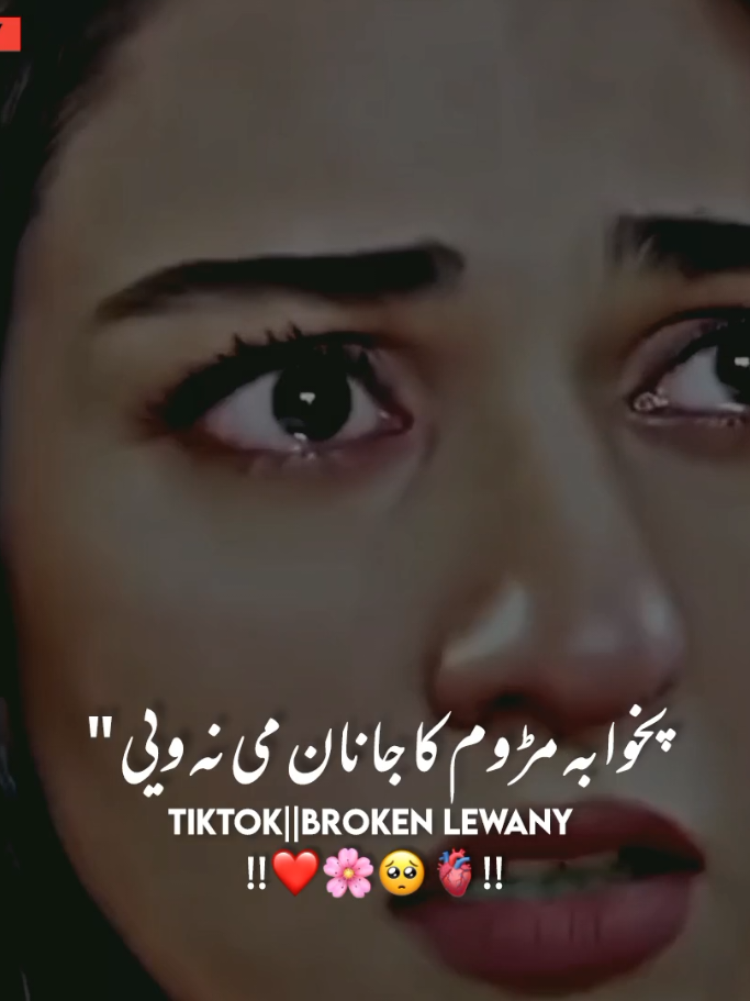 aRamN zme Da Che Arman Mi Nvy💔🥺#foryou #foryoupage #viralvideo #hellotiktok #pashtopoetry @🌸 𝗥 𝗜 𝗭 𝗪 𝗔 𝗡 🌸 