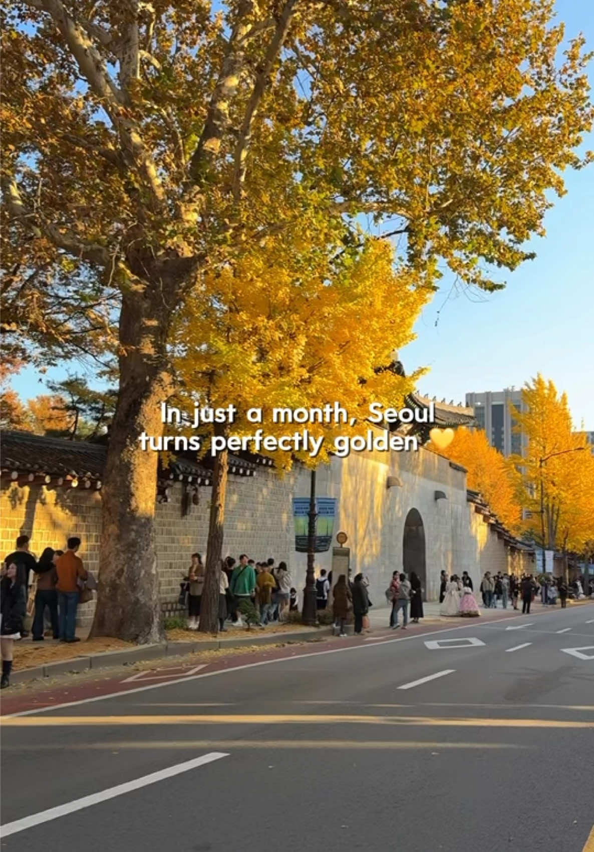 October is when Seoul turns golden 💛🇰🇷🫶 #travel #korea #seoul #seoulcitytravel #autumn 