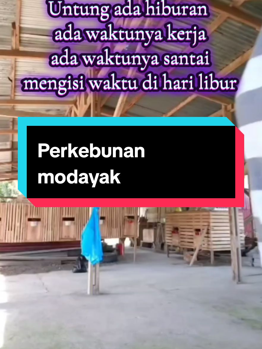 mencari kesibukan disela sela runyamnya  kehidupan dunia