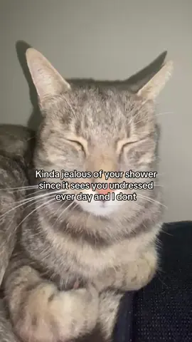#jealous #shower #undressed #goviral #cutecat 