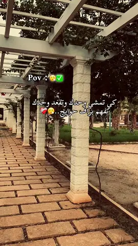 #الجزائر🇩🇿 #ماله_حل_الشعب_الصيني😂😂 #ماله_حل_الشعب_الصيني😂😂 #اعادة_النشر🔃 