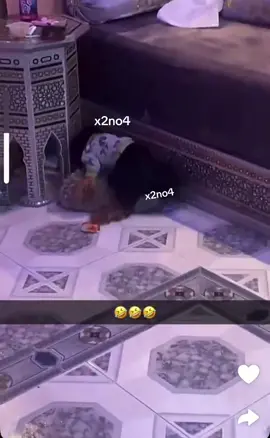 مجحم هههههههههههههههههههههههههههههههههههههههههههههههههههههههههههـهـهـ هههههههههههههههههههههههههههههههههههههههههههههههههههههههههههـهـهـ هههههههههههههههههههههههههههههههههههههههههههههههههههههههههههـهـهـ #اكسبلور #الشعب_الصيني_ماله_حل😂😂 #السعودية #foryou #fyp 