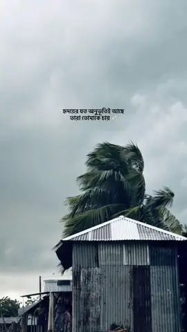 ঝড়ে যাওয়া যত অশ্রু জানে তারা তোমাকে চায়..।🕊️ #nahideditz#foryoupage#naturelover#beutifulnature_🌳#lincondicosto 