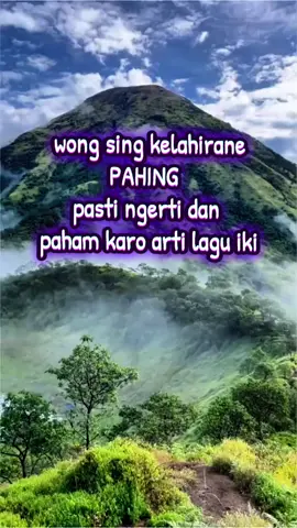 hy pahing bener pa ora? #kekinian #ti̇ktok #fypシ゚ #CapCut  #wetonpahing 