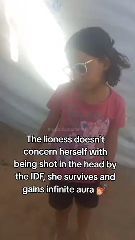 No one is as cool as our Sara 😜 #gaza #ceasefirenow #lioness #lion #cool 