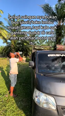 Begitulah🥲#fypage #lewatberandafyp #peternakmuda #fypforyou #fyp 