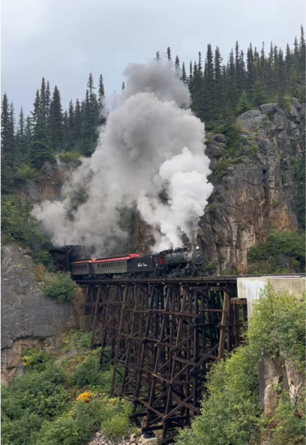 Steam Train in the Alaskan Wilderness #steamtrain #whitepassrailway #railfan #traintok #alaska 