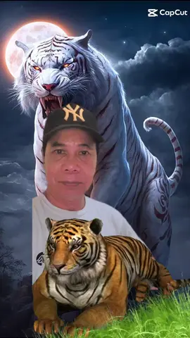 #CapCut 