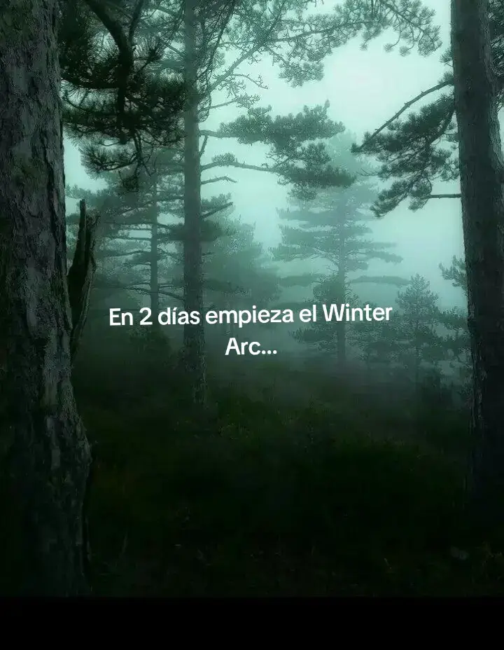 #winterarc #prime