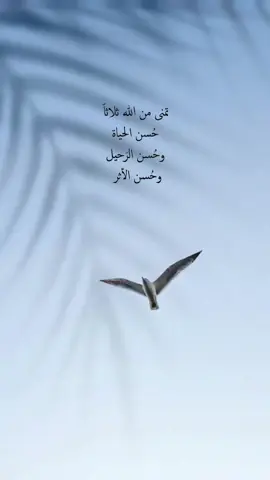 #كلام_من_القلب #🦋 #❤️ #خواطر #🌹 