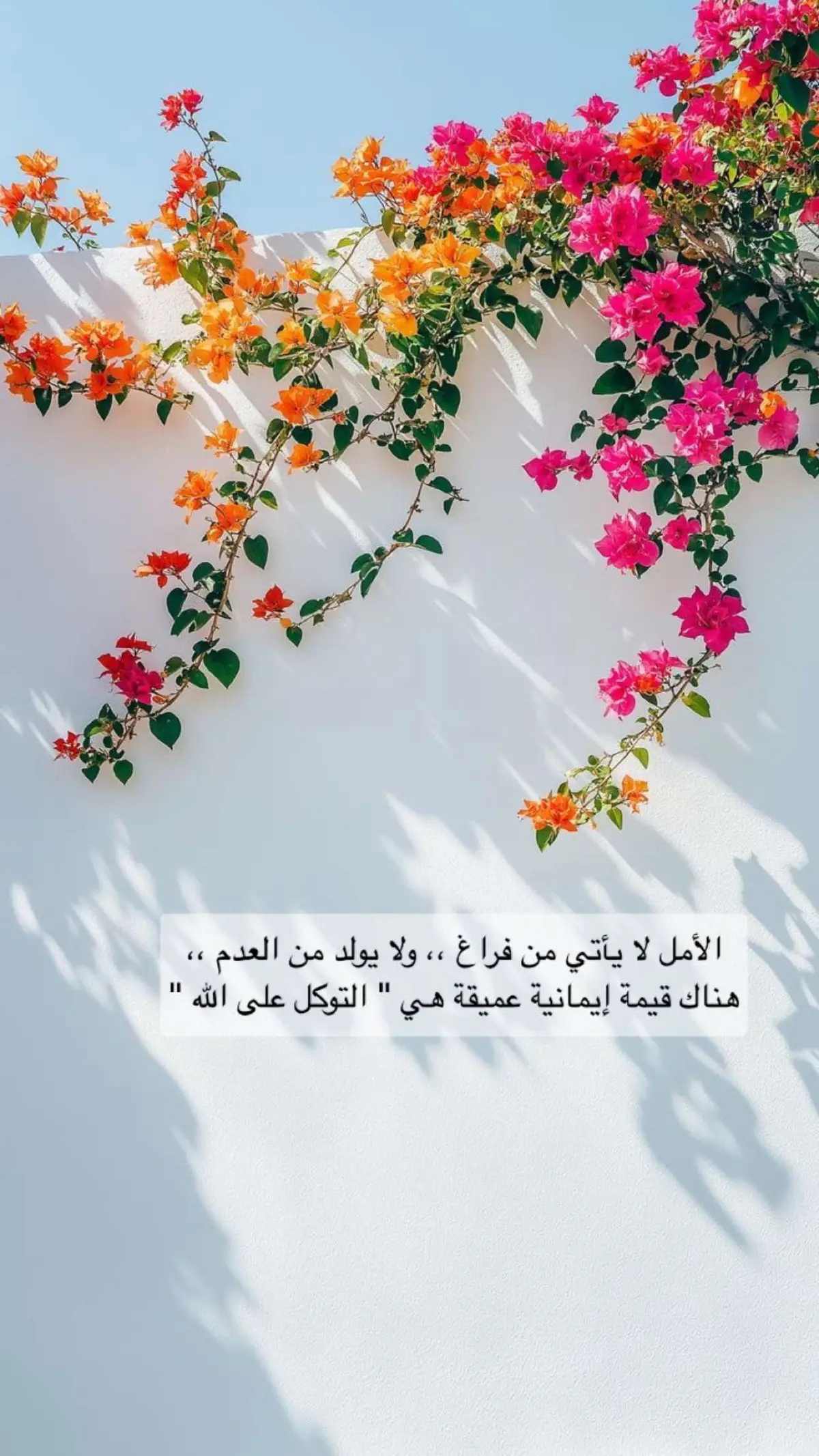 #التوكل_على_الله #ايمانيات_طمأنينة #اقتباس #كلمات #اكسبلورexplore 