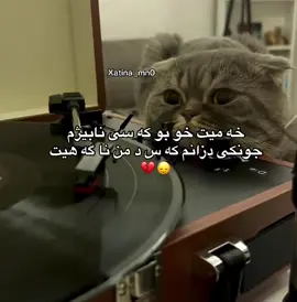 💔👍🏻 er_karkuk#rasty_lak #fyp #foryou #foryoupage #viral 