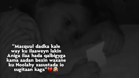 Aabo🥺💔#kokola👸🏼💕 #ciyaal_casiir🧃🧃🤤 #🌚🌸✨💕 #💘💘💘💘💘💘💘💘💘💘 #🤍🤍🤍🤍🤍🤍🤍🤍🤍🤍 