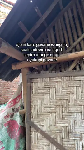 #bismillahfyp #storyjowo #katakatajowo #jowopride #storywatsapp 