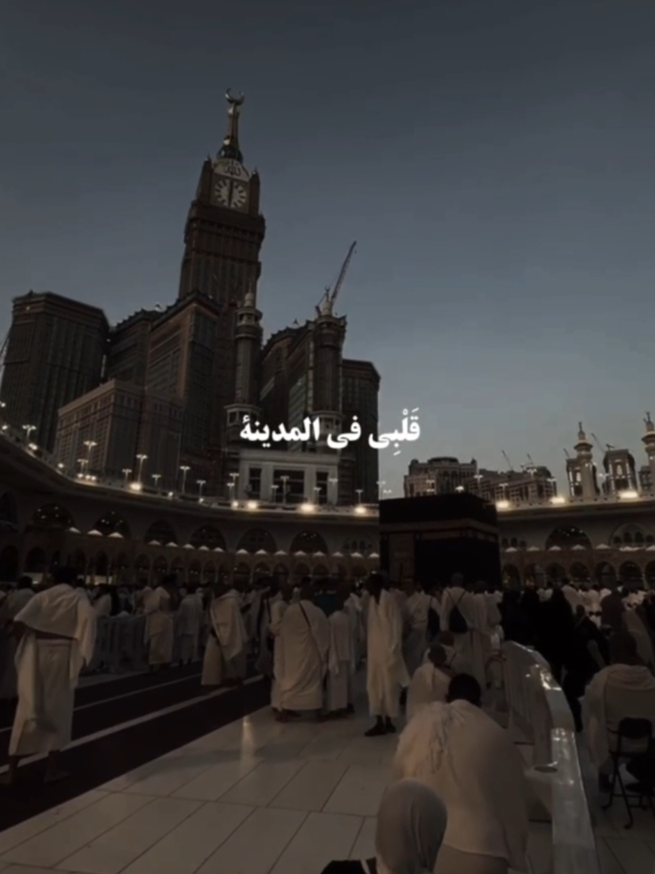 نشيدة  #قلبي_في_المدينه_وجد_سكينه  #mostaphe  #islamic_video #videoviral #arabicsong 