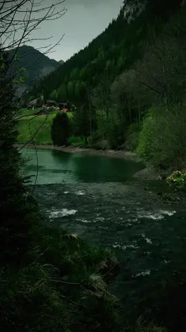 Peaceful moments🖤🌿#relaxing #nostalgia #calmvibes #explore #darkaesthetic 