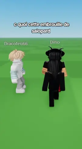 Mettez un pressing a dracofeu svp 😭 #tiktokfr #roblox #embrouille #voicechat #catalogavatar 
