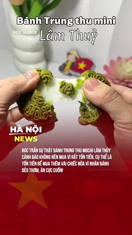 Bánh trung thu nhân các vị nướng Lâm Thuỷ #theanh28 #banhtrungthu #banhnuong #trungthu #hanoinews 