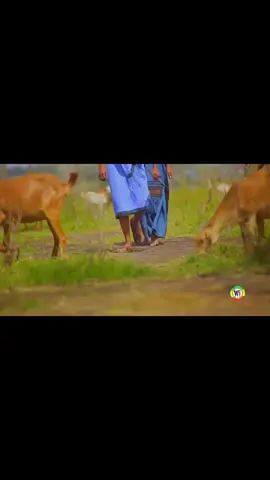 #creatorsearchinsights 🇪🇹🇪🇹#р🧡е❤к🤎о💚м💙е🤍н💜д🖤а💛ц💔и💖и #🖤💙💚💛🧡💜❤💖💝💗❣💞💘💓💔💕🌊💧❄ #😘🥰😍🤩❤🧡💛💚💙💜🤎💕💞💓💗🖤🤍💯💢💥💫 #❤❤❤❤❤❤❤❤❤❤❤❤❤ 🇪🇹🇪🇹🇪🇹🇪🇹🇪🇹🇪🇹🇪🇹🇪🇹🇪🇹🇪🇹👌👌🇪🇹🇪🇹🇪🇹🇪🇹🇪🇹🇪🇹🇪🇹🇪🇹🇪🇹👌👌🇪🇹🇪🇹🇪🇹🇪🇹🇮🇱🇮🇱🇮🇱🇮🇱🇮🇱🇮🇱🇮🇱🇪🇹🇪🇹🇪🇹
