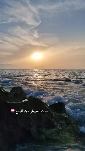 #ماهرالمعيقلي #قران #لااله_الا_انت_سبحانك_اني_كنت_من_ظالمين #kxrimlive #phobia_isaac 