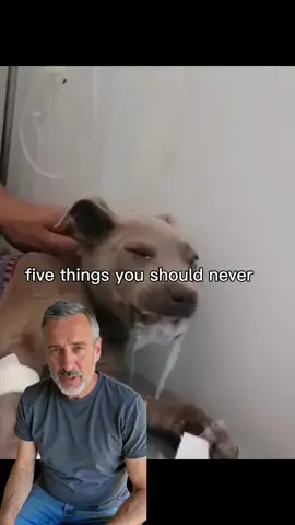 That Cheetos smell on your dog’s paws isn’t just “dog smell” 🐾 it’s bacteria and yeast. A simple apple cider vinegar soak can help. Pumpkin purée calms diarrhea and parsley freshens breath naturally. Small changes protect your dog’s health in big ways ❤ #DogHealth #PetCareTips #VetAdvice #NaturalRemedies #DogParents 