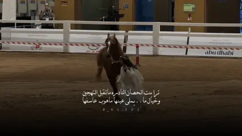 #اكسبلورexplore #fypシ 