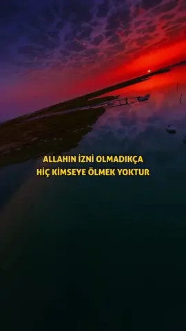 Ali İmran Suresi 145. Ayet #Allah #kuran #dua #aşk #fyp